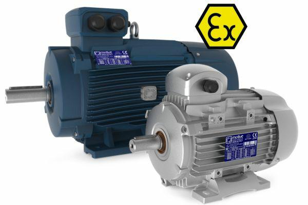 Silnik Delphi ATEX 100LA-4 B14 kW2,2 230/400 tg.100 B5-B14 II3GD + II2DG + manual