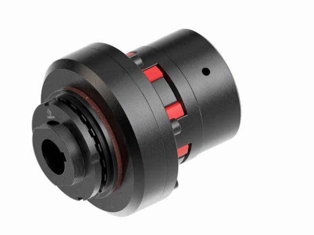 Ogranicznik momentu DSR/F 1.90 D25H7  wpust 8H9 sprężyna T2-A6G2(130-265 Nm) 6C/SC wałeczkowy