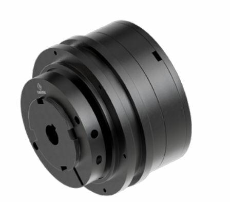 Ogranicznik momentu DSR/F 1.90 D25H7  wpust 8H9 sprężyna T2-A6G2(130-265 Nm) 6C/SC wałeczkowy